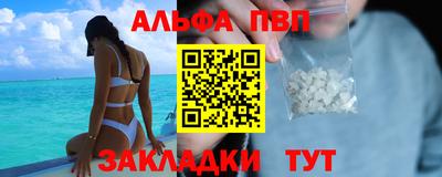 мет Кингисепп