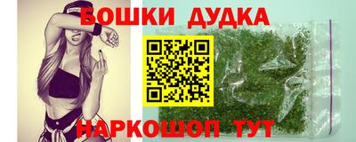 мет Кингисепп