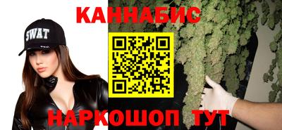 мет Кингисепп