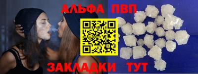 мет Кингисепп