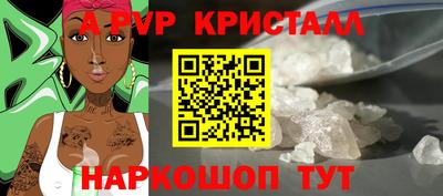 мет Кингисепп