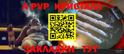 мет Кингисепп