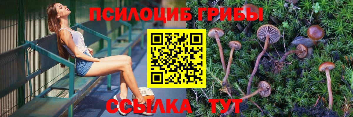 Псилоцибиновые грибы GOLDEN TEACHER Стрежевой